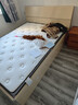 全友家居 天然环保护脊椰棕薄款榻榻米偏硬折叠10cm厚床垫1.5米 实拍图