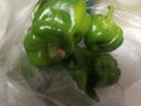 现摘新鲜圆辣椒超市即食太空椒皮厚肉多不辣水果灯笼椒 1斤试吃装 1斤 实拍图
