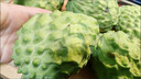 鲜福林云南牛奶凤梨释迦果新鲜应季水果超甜糯番荔枝 3斤净重单果150g+（新鲜直发） 实拍图