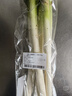 【农户直通车】大葱500g  实拍图