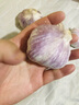 大蒜头出口品质网兜紫蒜蔬菜调料新鲜大果烧烤火锅食材 【精品网兜装】5头装 150g 实拍图