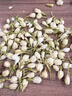 贡苑花草茶 茉莉花苞105g/罐 横县原产茉莉花茶干花蕾养生茶叶泡水喝 实拍图