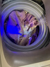 志高（CHIGO）全自动洗衣机 家用小型波轮 洗脱一体机大容量 公寓宿舍出租房 10KG咖啡金【蓝光洗护+风干洁桶+强电机】 实拍图