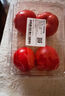 番茄约500g 实拍图