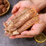 海速达 皮皮虾 净重2斤30-40只 大号满肉鲜活熟冻濑尿虾爬子虾婆姑海鲜 实拍图