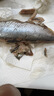 缤鲜 嗒莎熊俄式熏鱼整条鲱鱼 冷熏生熏鱼姐同款咸鱼整条即食顺丰包邮 含鱼籽冷熏鲱鱼220g左右*2条【净重】 实拍图