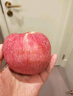 京鲜生 山东栖霞红富士苹果精品12粒 单果190g-240g  水果礼盒 实拍图