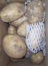 【真便宜】红皮土豆高原黄心土豆马铃薯红皮黄心洋芋 蔬菜水果 红皮土豆 半斤 单果1-3两 实拍图