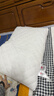 洁丽雅（Grace）纤维枕 星级酒店枕头枕芯 46*72cm 一对装（2只装） 实拍图