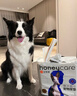 HONEYCARE好命家 好命天生宠物尿垫除臭净味狗狗尿片含碳 碳纸速吸L码25片 实拍图