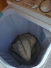 小鸭牌洗衣机半自动双桶双缸家用大容量小型租房宿舍波轮脱水甩干两用双杠省电老式强动力易操作以旧换新 15.5公斤【洗10+脱5.5｜强劲电机终身联保】 实拍图
