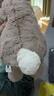 Jellycat害羞米色邦尼兔动物毛绒玩偶安抚公仔娃娃圣诞节生日礼物 米色 Huge 实拍图