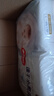 好奇（Huggies）金装拉拉裤L124片(9-14kg)尿不湿【速干不易红】 实拍图