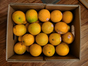 褚橙 云南冰糖橙  优级果 L 10斤装 单果约130g起 生鲜水果礼盒 实拍图