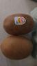 佳沛（zespri）新西兰  阳光金奇异果10粒礼盒巨大果单果约144-175g 水果 猕猴桃 实拍图