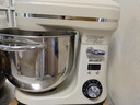 柏翠（petrus）【政府补贴】厨师机和面机揉面机打蛋器轻音全自动多功能搅拌面包家用小型PE4633  实拍图