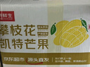 京鲜生 四川攀枝花凯特芒果 8.5斤 单果700g+ 生鲜水果源头直发 实拍图