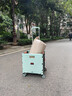 喜路仕购物车买菜手拉车超市箱体小推车老人户外露营拖车BY06-W清新绿 实拍图