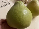 趣觅鲜正宗容县沙田柚产地直发广西特产纯甜无酸老树白肉柚子新鲜水果 2个大果4-4.5斤普通装 实拍图