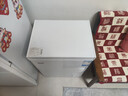 荣事达（Royalstar）小冰柜家用小型冷冻保鲜迷你冷藏商用卧式冷柜单用储母乳柜节能省电 【一级节能 全国联保】单温 106L 实拍图