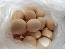 京鲜生富硒鲜鸡蛋30枚 3斤 源头直发 实拍图