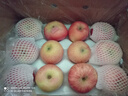 京鲜生 烟台红富士苹果 净重10斤 单果190g以上 生鲜水果 礼盒装 实拍图