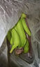 高山香蕉广西产地直发薄皮青果软糯香甜自然熟当季新鲜采摘纯天然 高山香蕉250克（2-3根） 实拍图