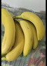 佳农 进口香蕉净重4斤（约10-12根）单根蕉 独立装 生鲜水果 新鲜包邮 实拍图