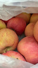 京鲜生 新疆阿克苏冰糖心苹果 净重9斤 果径75mm 新鲜水果 实拍图