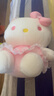 Hello Kitty三丽鸥KT猫毛绒玩偶玩具抱枕娃娃圣诞节礼物女孩生日高级小众 实拍图