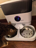 玲珑猫双碗视频自动喂食器 猫粮狗粮定时定量 视频监控 自动投食机 实拍图