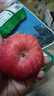 京鲜生 陕西洛川红富士苹果净重8.5斤  单果75-80mm 源头直发 实拍图