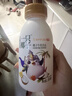 光明 一只椰子 牛乳饮品牛奶 250ml*10  送礼佳品 低温牛乳饮品 礼品 实拍图