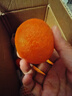 京鲜生 广西砂糖橘 净重4.5斤 单果35-45mm  生鲜水果 源头直发包邮 实拍图