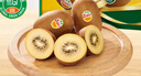 佳沛（zespri）新西兰 阳光金奇异果12粒礼盒特大果单果约122-146g 猕猴桃 水果 实拍图