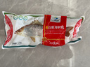 仙泉湖三去大白蕉海鲈鱼2斤/条净膛冷冻刺少肉厚海鲜水产生鲜食材 实拍图