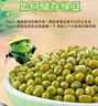 十月稻田 绿豆 2斤 (可发豆芽 打豆浆 东北 五谷 杂粮 粗粮 真空大米伴侣) 实拍图