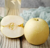 京鲜生 长城老树皇冠梨 净重5斤 单果250g+ 生鲜水果礼盒 实拍图