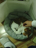 梵都宠舍 猫窝冬季保暖蛋挞猫垫子四季通用猫狗窝猫床猫咪用品宠物窝 实拍图