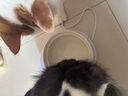 HELLOJOY猫咪加热宠物陶瓷碗恒温饮水碗狗狗食盆冬季保温 三档控温400ML 实拍图