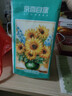 【百万销量】向日葵油画系列1000张悬挂式抽纸卫生纸4层加厚 4层 1000张*3提 实拍图