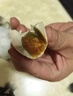 【热销百万单】正宗咸鸭蛋50g/枚饱满流油生鲜超市早餐新鲜即食 【活动专享】10枚 实拍图
