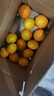 京觅江西赣南脐橙 9斤净重橙子单果170g起纽荷尔甜橙新鲜水果源头直发 实拍图