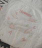 好奇（Huggies）铂金装小桃裤拉拉裤箱装XXXL64片尿不湿【透爽散热】 实拍图