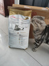 皇家猫粮 美短成猫粮 ASA31 通用粮 12月以上 4.5KG 实拍图