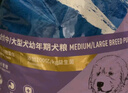伯纳天纯经典系列中/大型幼犬犬粮 拉布拉多德牧金毛哈士奇通用15kg/30斤 实拍图