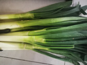 京鲜生山东正宗铁杆大葱净重5斤脆嫩佐料辅餐源头直发包邮 实拍图