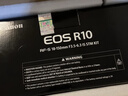 佳能（Canon） EOS R10 微单相机 轻量小型 APS-C画幅 高速连拍 r10高清4K视频 R10拆单机身【不含镜头 建议选购套装】 官方标配【无必备配件摄影大礼包~推荐购买套餐】 实拍图