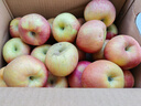 京鲜生 塞外红 阿克苏苹果礼盒 净重10斤 果径85mm以上 新鲜水果 实拍图