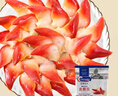 Clearwater北极清水加拿大北极贝200g 12-16只/袋整只北极贝 0添加 日料同款 实拍图